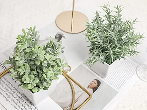 A Bundle Of Pack Mini Potted Fake Plants And 2 Packs Mini Fake Plants Small Artificial Plants For Bathroom Farmhouse Office Home Decor Indoor 5 A Bundle Of Pack Mini Potted Fake Plants And 2 Packs Mini Fake Plants Small Artificial Plants For Bathroom Farmhouse Office Home Decor Indoor - Image 5