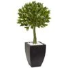 Nearly Natural 5950 42" UV Resistant (Indoor/Outdoor) Bay Leaf Topiary With Black Wash Planter -Green Leaf Store 51J3J125M8L