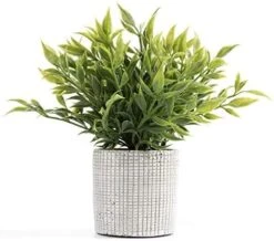 Cyrra Small Size Bathroom Living Room Laundry Room Guest Room Shop Table Shelf Decor Ideas Indoor Green Artificial Grass Shrub Plants 8 (High) X 4 (Pot Diameter Inch (Nandina S) 10 Cyrra Small Size Bathroom Living Room Laundry Room Guest Room Shop Table Shelf Decor Ideas Indoor Green Artificial Grass Shrub Plants 8 (High) X 4 (Pot Diameter Inch (Nandina S) -Green Leaf Store 51J7KRs ujL. AC