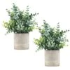 Coferset 2 Pack Small Fake Plants Eucalyptus Potted Artificial Plants For Shelf Desk Home Bathroom Farmhouse Room Decor (Eucalyptus, 2) -Green Leaf Store 51JFhTyCTjS