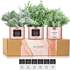 KOYAIRE Motivational Desk Plant Set Of 3 - Rose Gold Desk Accessories For Women Office - Rose Gold Decor And Home Office Accessories - Small Fake Plants - Desk Decorations For Women Office Decor