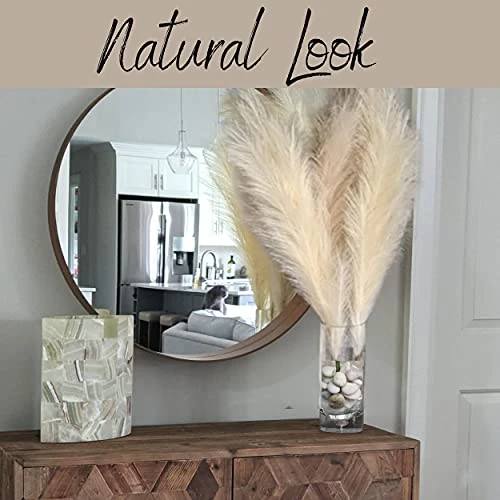 Decor Plus More Faux Pampas Grass Large - Set Of 4 47 Inches Beautiful Tall Artificial Compliments Any Room With Zero Maintenance Perfect For Modern, Boho Or Farmhouse (2 Cream & 2 Ivory Stems) 3 Decor Plus More Faux Pampas Grass Large - Set Of 4 47 Inches Beautiful Tall Artificial Compliments Any Room With Zero Maintenance Perfect For Modern, Boho Or Farmhouse (2 Cream & 2 Ivory Stems) - Image 3