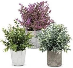 PENGYEE Artificial Plant, 3Pcs Mini Plants Artificial Potted Set Fake Green Grass Faux Plastic Green Rosemary Topiary Shrubs For Home Office Desk, Kitchen Counter Decoration -Green Leaf Store 51JoFmIxOOL. AC