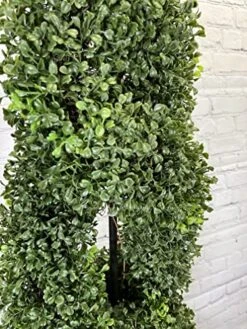 Admired By Nature 2 X 5' Artificial Boxwood Leave Double Spiral Topiary Plant Tree In Plastic Pot, Green, Twin Pack, 2 Count -Green Leaf Store 51JpcatC9OL