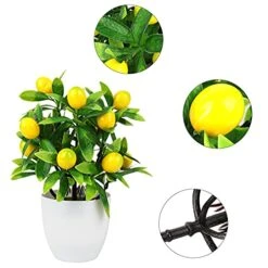 FQQWEE 2Pcs Artificial Lemon Tree Potted Plants 10Inch Mini Greenery Fake Lemon Fruit Bonsai Simulation Yellow Lemon Tree Topiary Plants For Home Offoce Party Decoration … -Green Leaf Store 51K4Bd6WU4L