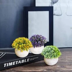 GENERIC 3 Bundle Pack Small Potted Artificial Fake Plastic Plants, Faux Desk Shrub Plants For Indoor Home Office Kitchen Bathroom Farmhouse CoffeeTable Room Decor 9 GENERIC 3 Bundle Pack Small Potted Artificial Fake Plastic Plants, Faux Desk Shrub Plants For Indoor Home Office Kitchen Bathroom Farmhouse CoffeeTable Room Decor -Green Leaf Store 51K8R9CVKvL