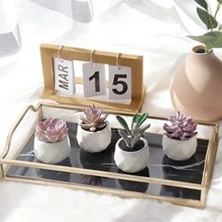 Tiita Artificial Faux Succulents In Pots Fake Plants Ceramic Arrangement Planter Small Mini Tiny Decoration For Home Office Desk Window Sill Bathroom Bedroom Outdoor Indoor 4 Set -Green Leaf Store 51K9mDyUgtL
