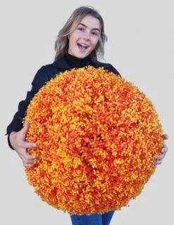 365 Curb Appeal - 23" XL Cedar (Cypress) Topiary Ball | Artificial Mum Spheres | Garden Spheres | Outdoor Topiary Ball | Decorative Topiary Balls For Wedding | Green Topiary Balls Decor | UV Protected 20 365 Curb Appeal - 23" XL Cedar (Cypress) Topiary Ball | Artificial Mum Spheres | Garden Spheres | Outdoor Topiary Ball | Decorative Topiary Balls For Wedding | Green Topiary Balls Decor | UV Protected -Green Leaf Store 51KHnxgRldL. AC