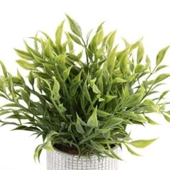 Cyrra Small Size Bathroom Living Room Laundry Room Guest Room Shop Table Shelf Decor Ideas Indoor Green Artificial Grass Shrub Plants 8 (High) X 4 (Pot Diameter Inch (Nandina S) 7 Cyrra Small Size Bathroom Living Room Laundry Room Guest Room Shop Table Shelf Decor Ideas Indoor Green Artificial Grass Shrub Plants 8 (High) X 4 (Pot Diameter Inch (Nandina S) -Green Leaf Store 51KPLQBAqlL