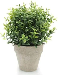 Velener Mini Sage Green Potted Boxwood Topiary Artificial Plants For Home Decor Indoor, Farmhouse House Plant Office Small Desk Shelf Apartment Coffee Bar Bathroom Decor Guest Room, Small Fake Plant 23 Velener Mini Sage Green Potted Boxwood Topiary Artificial Plants For Home Decor Indoor, Farmhouse House Plant Office Small Desk Shelf Apartment Coffee Bar Bathroom Decor Guest Room, Small Fake Plant -Green Leaf Store 51KerYShsrL. AC 1