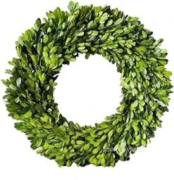 BoxwoodValley Preserved Boxwood Wreath 16 Inch Year Round Green Wreath For Halloween, Christmas Wreath Decor Green Garland For Indoor Green Autumn Wreath Decor (16 Inch) 19 BoxwoodValley Preserved Boxwood Wreath 16 Inch Year Round Green Wreath For Halloween, Christmas Wreath Decor Green Garland For Indoor Green Autumn Wreath Decor (16 Inch) -Green Leaf Store 51L4DMgTpyS. AC