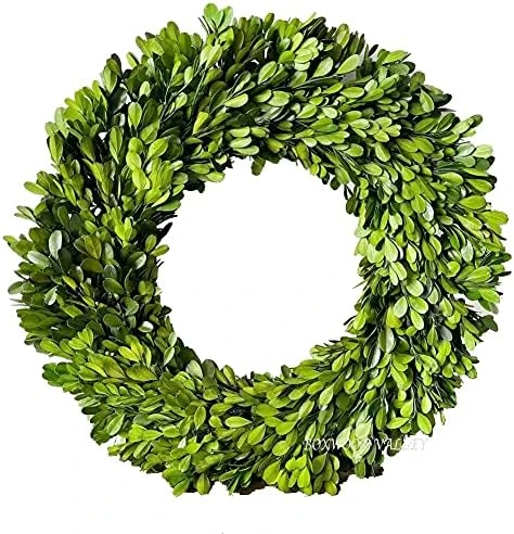 BoxwoodValley Preserved Boxwood Wreath 16 Inch Year Round Green Wreath For Halloween, Christmas Wreath Decor Green Garland For Indoor Green Autumn Wreath Decor (16 Inch) 8 BoxwoodValley Preserved Boxwood Wreath 16 Inch Year Round Green Wreath For Halloween, Christmas Wreath Decor Green Garland For Indoor Green Autumn Wreath Decor (16 Inch) - Image 8
