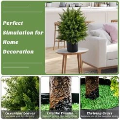 BECOMFORT 22'' Artificial Cedar Topiary Tree 2 Pack, Faux Shrub Brush Potted Tree Set With Cement Pot, Fake Greenery Decorative Potted Plants For Indoor Outdoor Use (Cedar Tree) -Green Leaf Store 51LN4QESrFL