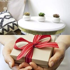 Earthy Décore Warning May Cause Happiness, Set Of 3 Amazing Looking Artificial Cactus Plants In Ceramic Pot With Unconditional 60 Return, No Questions Ask -Green Leaf Store 51LNDbgjKAL