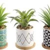 Letinaner Artificial Succulent Plants Fake Pineapple In Pots Artificial Faux Plants Greenery Decorations For Hotel Restaurant Home Office Kitchen Table, Set Of 3 -Green Leaf Store 51LOmQ0HCxL