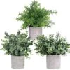 Winlyn Mini Potted Plants Artificial Eucalyptus Boxwood Rosemary Greenery In Pots Faux Potted Herbs Small Houseplants 8.3"-9" Tall For Indoor Greenery Tabletop Décor Centerpiece 3 Pack 31 Winlyn Mini Potted Plants Artificial Eucalyptus Boxwood Rosemary Greenery In Pots Faux Potted Herbs Small Houseplants 8.3"-9" Tall For Indoor Greenery Tabletop Décor Centerpiece 3 Pack -Green Leaf Store 51LdNynvurL