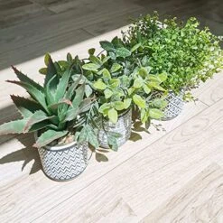 Set Of 3 Assorted Small Potted Plants Fake Eucalyptus Boxwood Plants Aloe Succulent Plant In Black And White Geometric Pots For Table Centerpiece Windowsill Shelf Indoor Outdoor Garden Greenery Decor -Green Leaf Store 51M2dsyOdKL