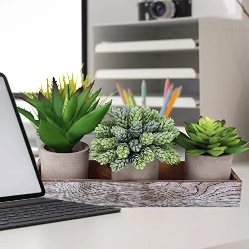 Winlyn Set Of 3 Artificial Potted Succulents Plants In Rustic Wood Tray Succulents Arrangement For Farmhouse Table Centerpiece Desk Windowsill Shelf Counter Home Bathroom Kitchen Office Country Decor 6 Winlyn Set Of 3 Artificial Potted Succulents Plants In Rustic Wood Tray Succulents Arrangement For Farmhouse Table Centerpiece Desk Windowsill Shelf Counter Home Bathroom Kitchen Office Country Decor - Image 6