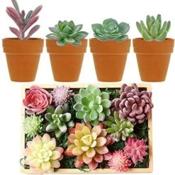 Augshy Artificial Succulents, 16 Pack Fake Succulents Plants Artificial Small Fake Plants Faux Succulents Unpotted For Lotus Landscape Decorative Garden Arrangement Decor -Green Leaf Store 51MQZM20F8L