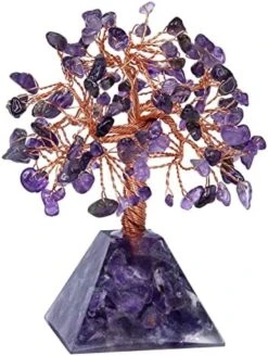 Mookaitedecor Amethyst Crystal Tree, Amethyst Cluster Crystals Base Bonsai Money Tree For Wealth And Luck -Green Leaf Store 51MSnyW8nxL. AC