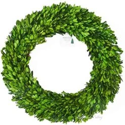BoxwoodValley Preserved Boxwood Wreath 16 Inch Year Round Green Wreath For Halloween, Christmas Wreath Decor Green Garland For Indoor Green Autumn Wreath Decor (16 Inch) 23 BoxwoodValley Preserved Boxwood Wreath 16 Inch Year Round Green Wreath For Halloween, Christmas Wreath Decor Green Garland For Indoor Green Autumn Wreath Decor (16 Inch) -Green Leaf Store 51MXKimirlL. AC