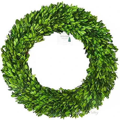 BoxwoodValley Preserved Boxwood Wreath 16 Inch Year Round Green Wreath For Halloween, Christmas Wreath Decor Green Garland For Indoor Green Autumn Wreath Decor (16 Inch) 12 BoxwoodValley Preserved Boxwood Wreath 16 Inch Year Round Green Wreath For Halloween, Christmas Wreath Decor Green Garland For Indoor Green Autumn Wreath Decor (16 Inch) - Image 12