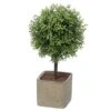 WHW Whole House Worlds Realistic Faux Potted Boxwood Ball Topiary Tree, Gray Stone Finished Planter, 10 1/4 Inches Tall -Green Leaf Store 51MYHD5AzSL