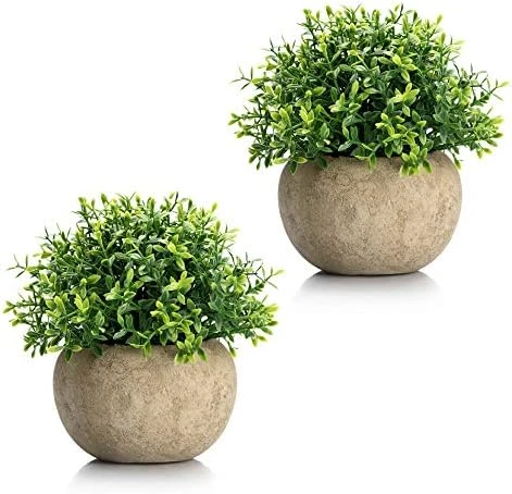 Velener Mini Sage Green Potted Boxwood Topiary Artificial Plants For Home Decor Indoor, Farmhouse House Plant Office Small Desk Shelf Apartment Coffee Bar Bathroom Decor Guest Room, Small Fake Plant 7 Velener Mini Sage Green Potted Boxwood Topiary Artificial Plants For Home Decor Indoor, Farmhouse House Plant Office Small Desk Shelf Apartment Coffee Bar Bathroom Decor Guest Room, Small Fake Plant - Image 7