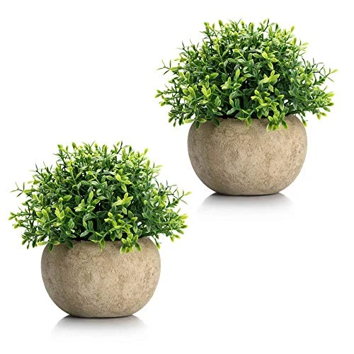Velener 2Pcs Mini Artificial Boxwood Topiary Faux Plants Indoor- Small Fake Plants Decor Magnolia Home Office Desk Cubicle Farmhouse Kitchen Bookshelf Bedroom Bathroom Decor, Aloe Vera Zen Garden 1 Velener 2Pcs Mini Artificial Boxwood Topiary Faux Plants Indoor- Small Fake Plants Decor Magnolia Home Office Desk Cubicle Farmhouse Kitchen Bookshelf Bedroom Bathroom Decor, Aloe Vera Zen Garden