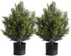 Cedar Artificial Bush,Faux Shrub,Topiary Artificial Cypress Tree,Includes Black Plastic Pot,2 Packs Fake Trees,Home Decor For Indoor And Outdoor,Faux Plants Outdoor,Artificial Greenery Set,24inch 7 Cedar Artificial Bush,Faux Shrub,Topiary Artificial Cypress Tree,Includes Black Plastic Pot,2 Packs Fake Trees,Home Decor For Indoor And Outdoor,Faux Plants Outdoor,Artificial Greenery Set,24inch -Green Leaf Store 51Mw0yQtwS. AC
