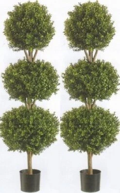 Silk Tree Warehouse Two 66 Inch Artificial Boxwood Triple Ball Topiary Trees Potted UV Rated 5 And A Half Foot Tall