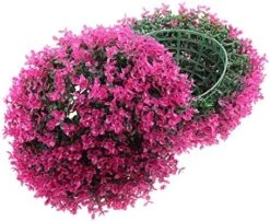 FAVOMOTO Eucalyptus Grass Ball Artificial Plants Indoor Artificial Outdoor Plants House Plants Indoors Live Hanging Boxwood Balls Topiary Balcony Topiary Balls Artificial Topiary 3pcs 24 FAVOMOTO Eucalyptus Grass Ball Artificial Plants Indoor Artificial Outdoor Plants House Plants Indoors Live Hanging Boxwood Balls Topiary Balcony Topiary Balls Artificial Topiary 3pcs -Green Leaf Store 51NDB2YUYFL. AC