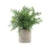 Velener Artificial Potted Rosemary Plants- Rustic Farmhouse Topiary Shrubs For Decoration Centerpieces Living Room, Shelf Bedroom Aesthetic Green Bathroom Accessories Boho Small Desk Plant Office -Green Leaf Store 51NK3jUadZL