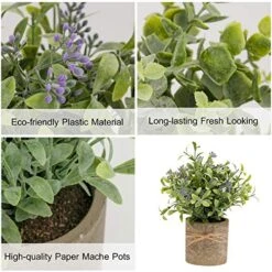 PENGYEE Artificial Plant, 3Pcs Mini Plants Artificial Potted Set Fake Green Grass Faux Plastic Green Rosemary Topiary Shrubs For Home Office Desk, Kitchen Counter Decoration -Green Leaf Store 51NOyfD8pqL