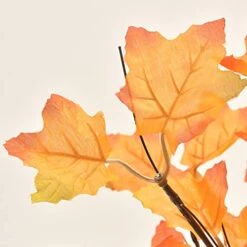 Lvydec Lighted Artificial Fall Maple Tree Clearance, 23-Inch Battry Operated Tabletop Autumn Tree For Home Festival Decoration, Warm White Light -Green Leaf Store 51NQsgrKT2L