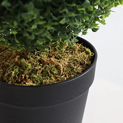 Momoplant (2 Pack Artificial Cypress Topiary Ball Tree -Triple Ball Boxwood- 37Inchs Triple Ball Boxwood Indoor/Outdoor Topiaries Trees - Artificial Outdoor Plants Cypress Plant 4 Momoplant (2 Pack Artificial Cypress Topiary Ball Tree -Triple Ball Boxwood- 37Inchs Triple Ball Boxwood Indoor/Outdoor Topiaries Trees - Artificial Outdoor Plants Cypress Plant - Image 4