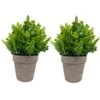 IMIYOKU Artificial Plants Topiary Plastic Plants 2Pcs Mini Faux Potted Shrubs Plants Perfect For Conference Room Bedroom Hallway Living Room Windowsill Corridor Office Decor (Pattern2) 13 IMIYOKU Artificial Plants Topiary Plastic Plants 2Pcs Mini Faux Potted Shrubs Plants Perfect For Conference Room Bedroom Hallway Living Room Windowsill Corridor Office Decor (Pattern2) -Green Leaf Store 51O7utZdHNL