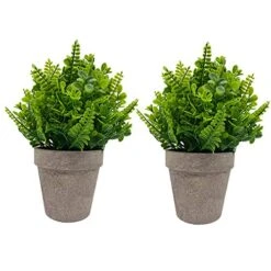IMIYOKU Artificial Plants Topiary Plastic Plants 2Pcs Mini Faux Potted Shrubs Plants Perfect For Conference Room Bedroom Hallway Living Room Windowsill Corridor Office Decor (Pattern2)