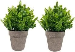 IMIYOKU Artificial Plants Topiary Plastic Plants 2Pcs Mini Faux Potted Shrubs Plants Perfect For Conference Room Bedroom Hallway Living Room Windowsill Corridor Office Decor (Pattern2) -Green Leaf Store 51O7utZdHNL. AC