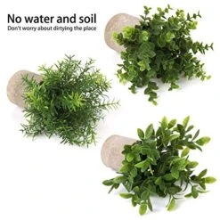 Green Leaf Store -Green Leaf Store 51OJCOILklL