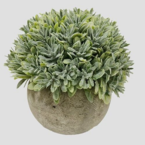 Nerseki Artificial Plants Plastic Mini Fake Fresh Lifelike Green Grass In Gray Pot For Home Decor (Snow-1) 5 Nerseki Artificial Plants Plastic Mini Fake Fresh Lifelike Green Grass In Gray Pot For Home Decor (Snow-1) - Image 5