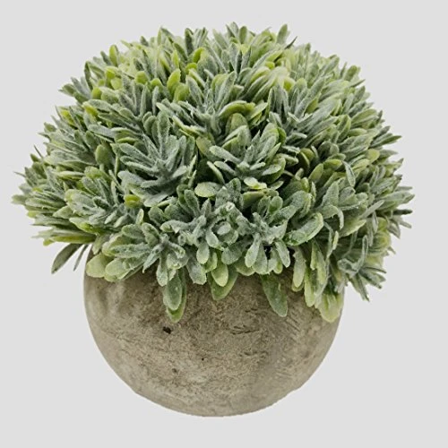 Nerseki Artificial Plants Plastic Mini Fake Fresh Lifelike Green Grass In Gray Pot For Home Decor (Snow-1) 1 Nerseki Artificial Plants Plastic Mini Fake Fresh Lifelike Green Grass In Gray Pot For Home Decor (Snow-1)