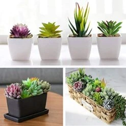 Anoak Artificial Succulent Plants - 16 Pcs Set Faux Succulents Unpotted Fake Succulent Plants, Premium Crafting DIY Floral Decor For Home Garden Office Party (High Realistic) -Green Leaf Store 51OQV5NUyML