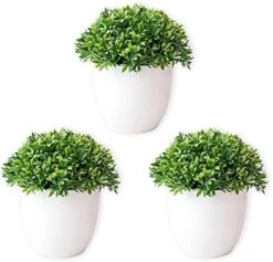Ochine Topiary Ball Artificial Outdoor Boxwood Decorative Balls Artificial Plant Faux Topiary Ball Hanging Green Plants Garden Tree Wedding Party Decor Front Porch Topiary Indoor Outdoor Home 17 Ochine Topiary Ball Artificial Outdoor Boxwood Decorative Balls Artificial Plant Faux Topiary Ball Hanging Green Plants Garden Tree Wedding Party Decor Front Porch Topiary Indoor Outdoor Home -Green Leaf Store 51OWXKvM6IS. AC