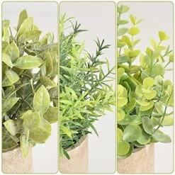 HomEdge Artificial Mini Potted Eucalyptus, 3 Packs Artificial Plastic Plant Greenery With Pot For Home, Office Desk Decoration 12 HomEdge Artificial Mini Potted Eucalyptus, 3 Packs Artificial Plastic Plant Greenery With Pot For Home, Office Desk Decoration -Green Leaf Store 51OjiRfMkqL