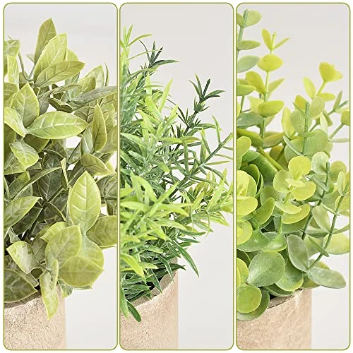 HomEdge Artificial Mini Potted Eucalyptus, 3 Packs Artificial Plastic Plant Greenery With Pot For Home, Office Desk Decoration 6 HomEdge Artificial Mini Potted Eucalyptus, 3 Packs Artificial Plastic Plant Greenery With Pot For Home, Office Desk Decoration - Image 6