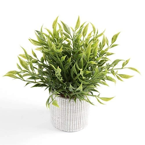 Cyrra Small Size Bathroom Living Room Laundry Room Guest Room Shop Table Shelf Decor Ideas Indoor Green Artificial Grass Shrub Plants 8 (High) X 4 (Pot Diameter Inch (Nandina S) 1 Cyrra Small Size Bathroom Living Room Laundry Room Guest Room Shop Table Shelf Decor Ideas Indoor Green Artificial Grass Shrub Plants 8 (High) X 4 (Pot Diameter Inch (Nandina S)