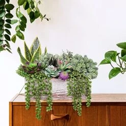 14 Pcs Assorted Artificial Succulents Fake Plants In Rectangular Wooden Pots Artificial Potted Succulents Plants Arrangement For Table Centerpiece Windowsill Shelf Mantel Tropical Greenery Decor -Green Leaf Store 51OxMJDrnuL