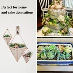 Happyhapi 12 Pcs Artificial Succulents Mini Fake Plants Unpotted Faux Succulent For Craft, Small Plastic Succulents Assortment In Flocked Green Floral Decor For Party, Cake, Garden & Outdoor -Green Leaf Store 51P365nKhTL