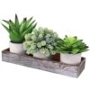 Winlyn Set Of 3 Artificial Potted Succulents Plants In Rustic Wood Tray Succulents Arrangement For Farmhouse Table Centerpiece Desk Windowsill Shelf Counter Home Bathroom Kitchen Office Country Decor -Green Leaf Store 51P91HCZEYL